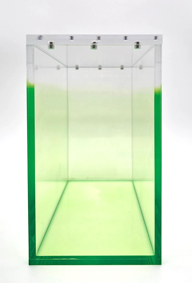 Pokemon ETB Acrylic Gradient Green 8MM Elite Trainer Box Display Protector Case